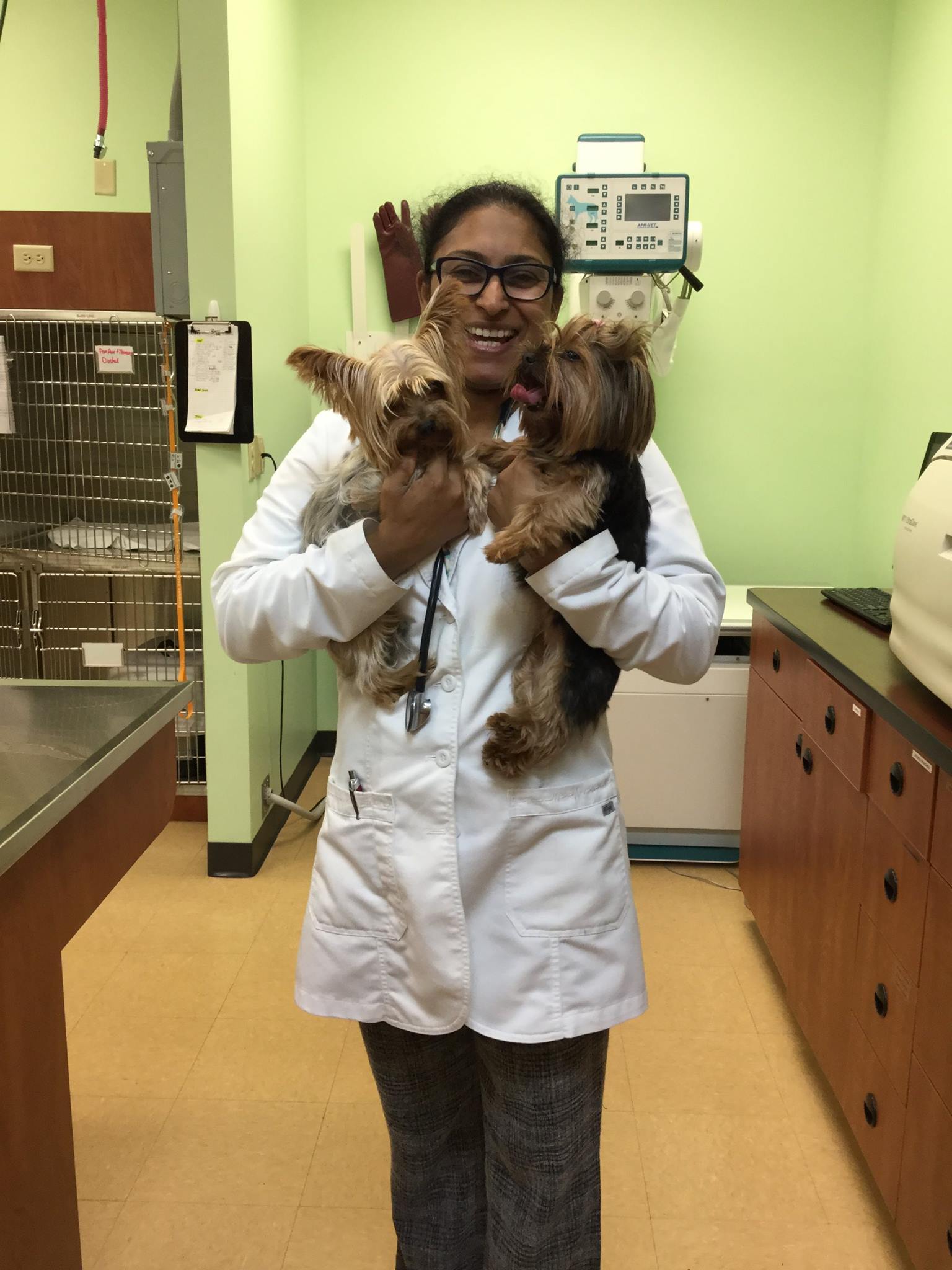 Veterinarian in Kissimmee, St Cloud and Orlando, FL | Tender Hearts Animal  Hospital